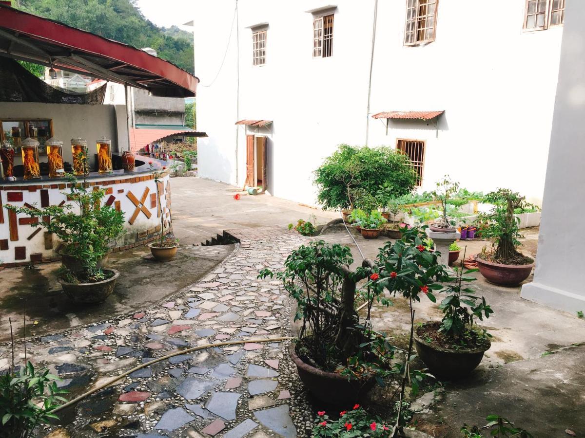 Homestay Shan Tea