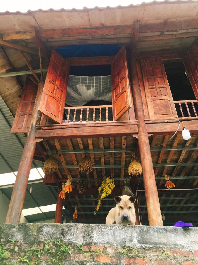 Shan Tea Homestay *